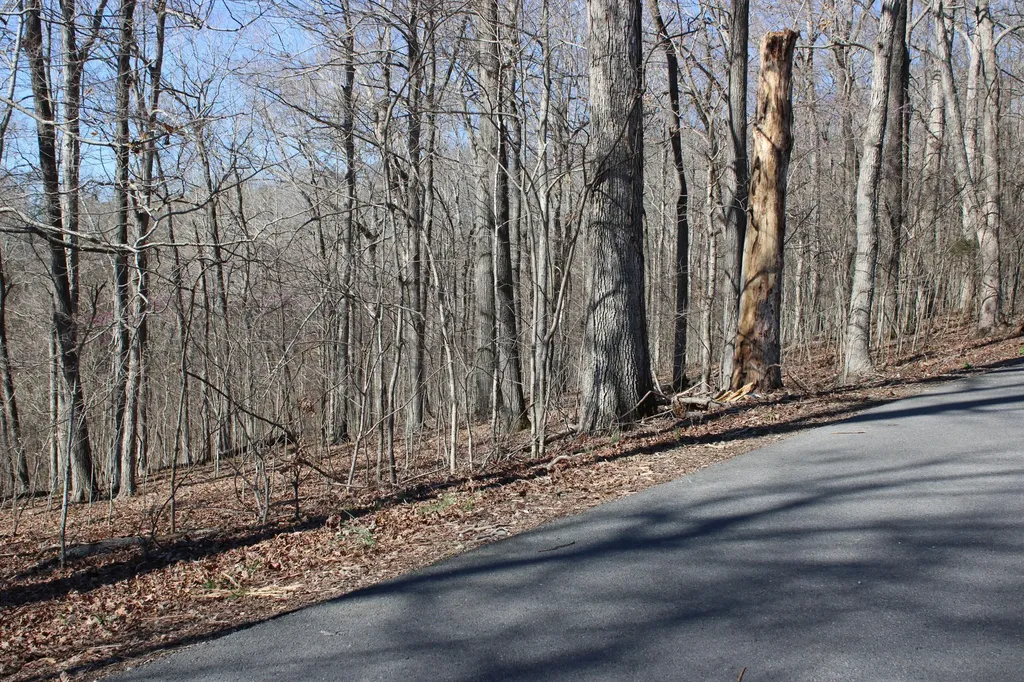 Lot 42 And Lot 43 Lisanby Road Eddyville KY 42038