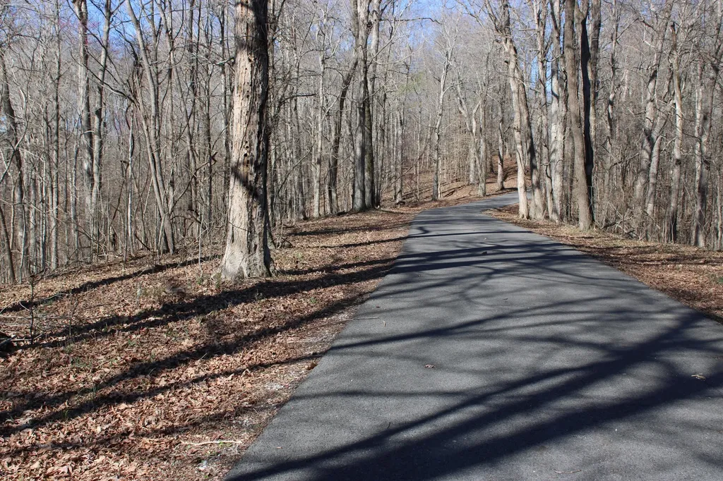 Lot 44 And Lot 45 Lisanby Road Eddyville KY 42038