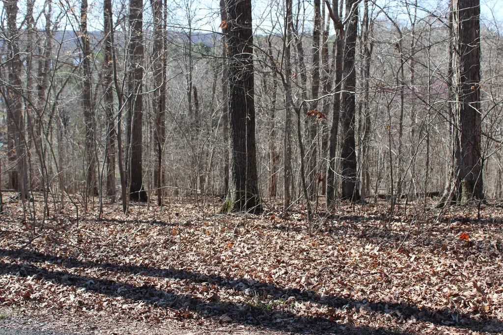 Lot 44 And Lot 45 Lisanby Road Eddyville KY 42038