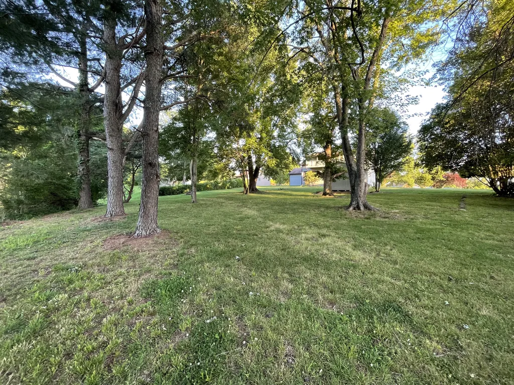 114 State Route 58 E Clinton KY 42031