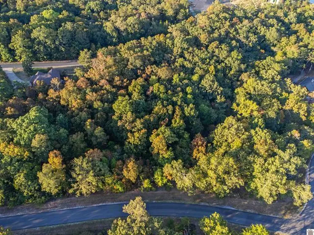Lot 47 Dock Drive Murray KY 42071