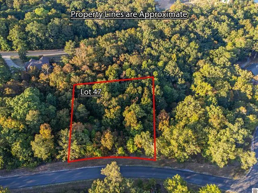 Lot 47 Dock Drive Murray KY 42071