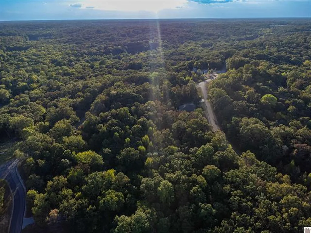 Lot 47 Dock Drive Murray KY 42071