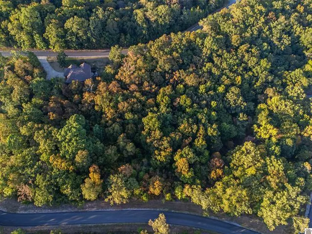 Lot 47 Dock Drive Murray KY 42071