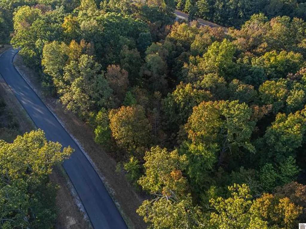 Lot 47 Dock Drive Murray KY 42071