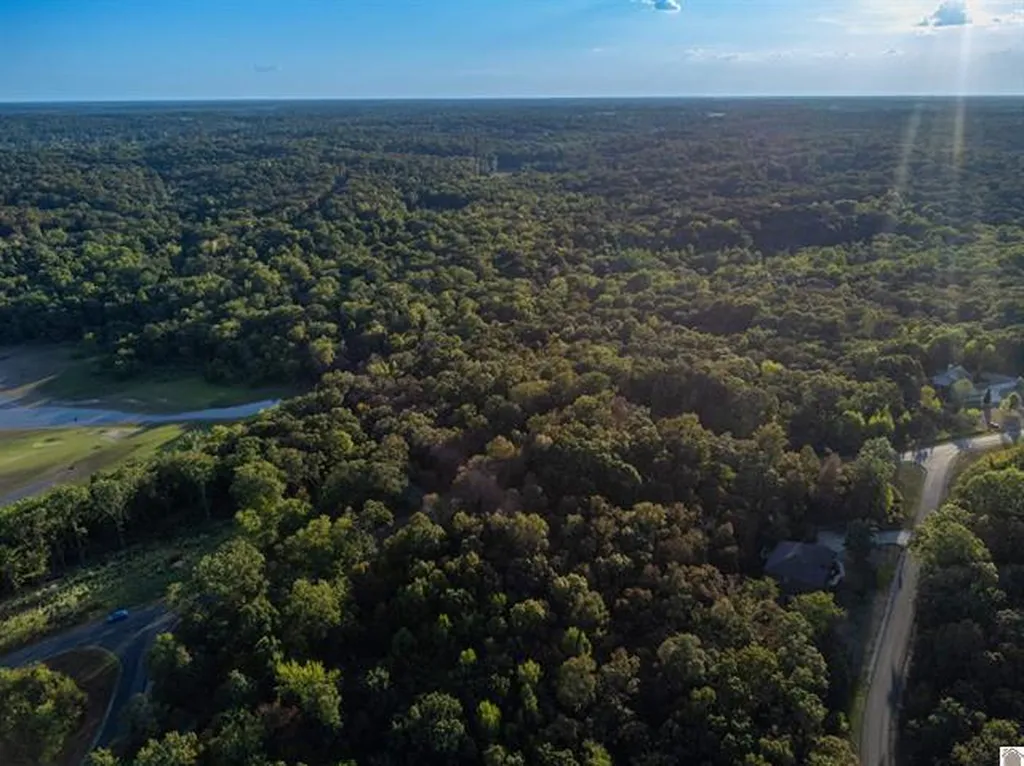 Lot 47 Dock Drive Murray KY 42071