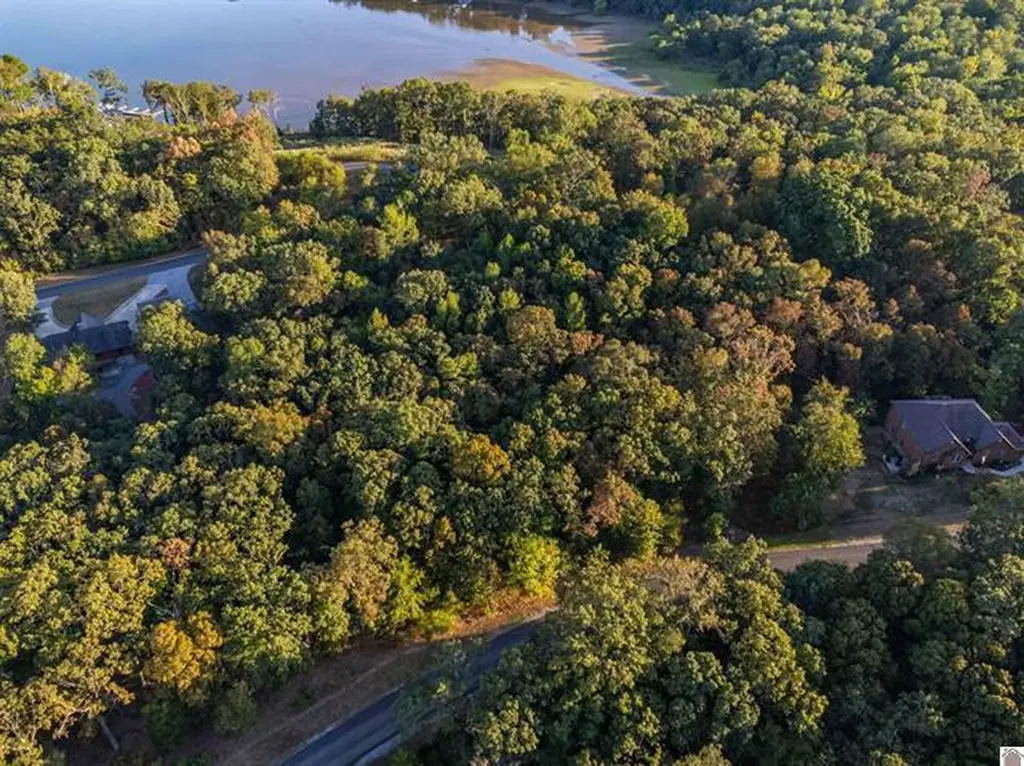 Lot 47 Dock Drive Murray KY 42071
