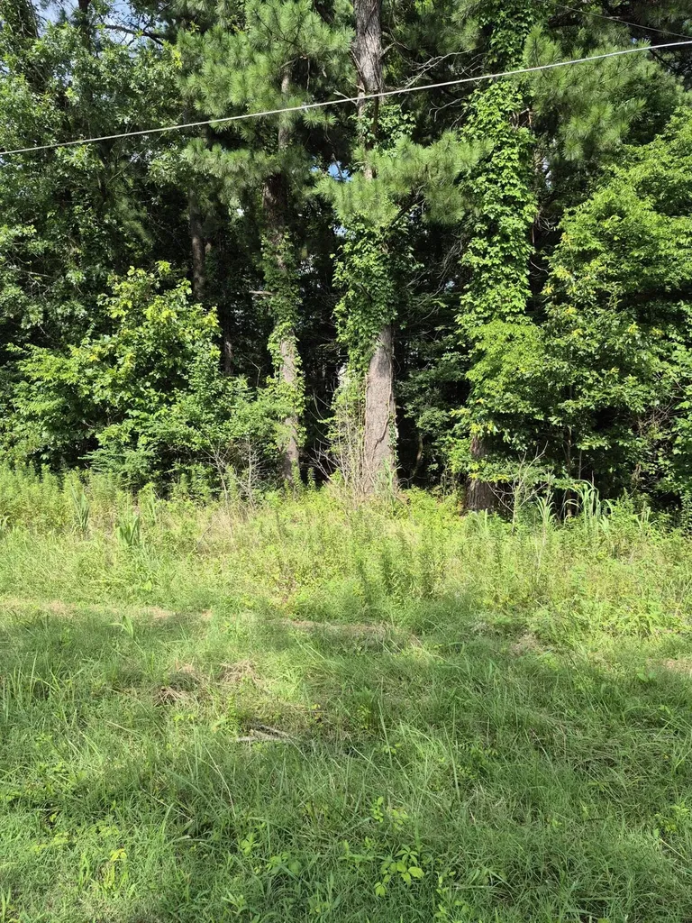 274 Hawkeye Drive Gilbertsville KY 42044