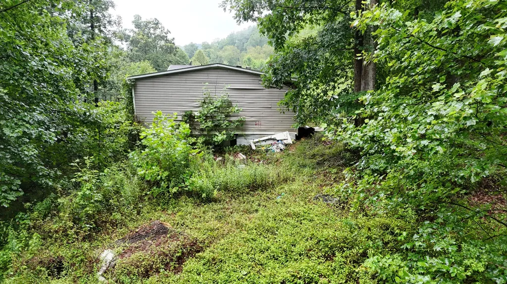 50 Luke Street Flatwoods KY 41139