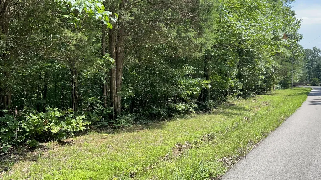 Lot 53 Baypoint Lane New Concord KY 42076