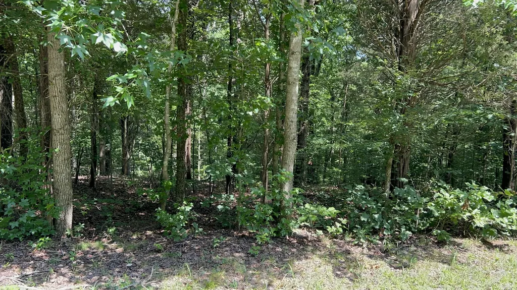 Lot 53 Baypoint Lane New Concord KY 42076