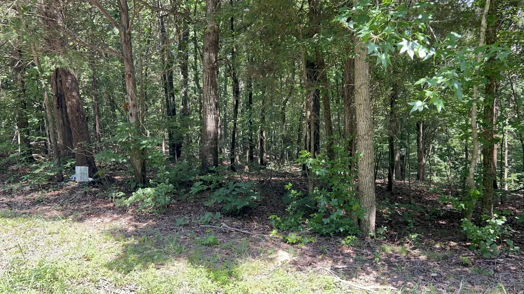 Lot 53 Baypoint Lane New Concord KY 42076