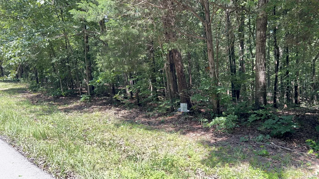 Lot 53 Baypoint Lane New Concord KY 42076