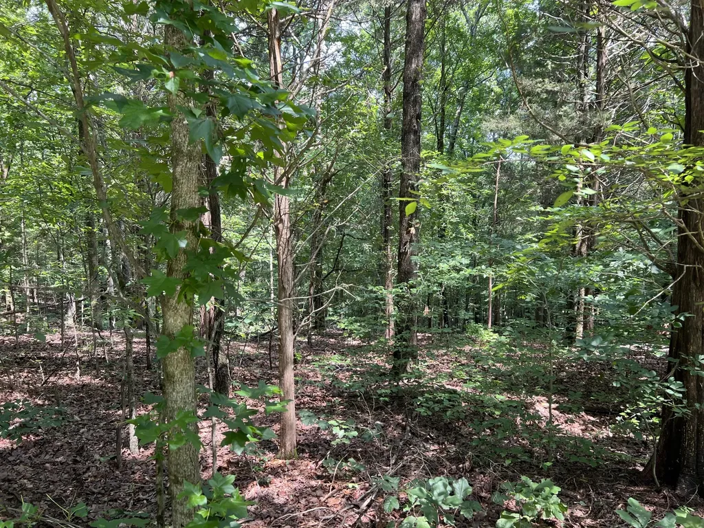 Lot 53 Baypoint Lane New Concord KY 42076