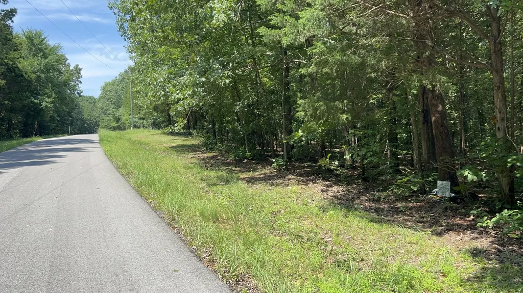 Lot 53 Baypoint Lane New Concord KY 42076