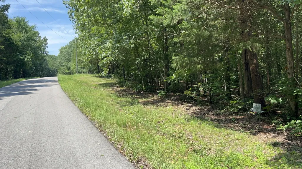 Lot 53 Baypoint Lane New Concord KY 42076