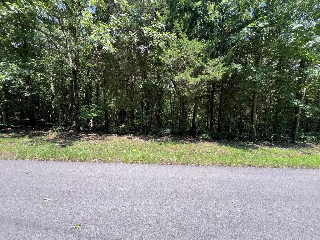 Lot 53 Baypoint Lane New Concord KY 42076