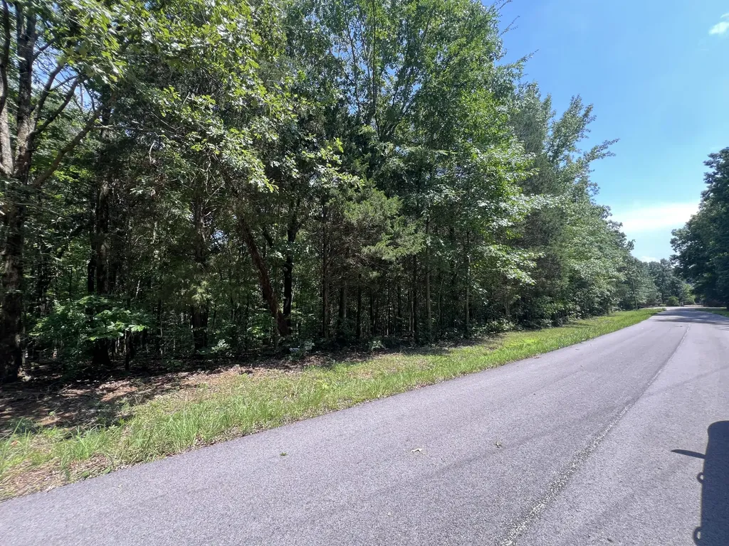Lot 53 Baypoint Lane New Concord KY 42076