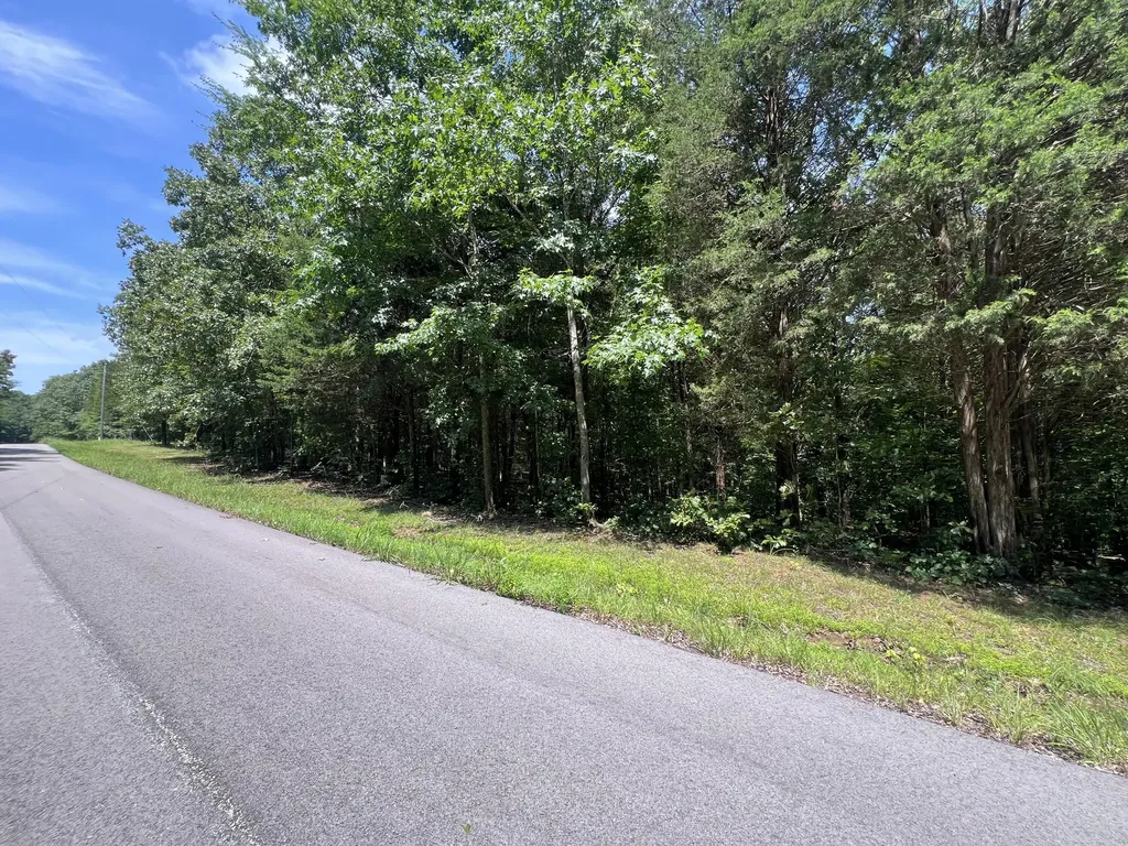 Lot 53 Baypoint Lane New Concord KY 42076