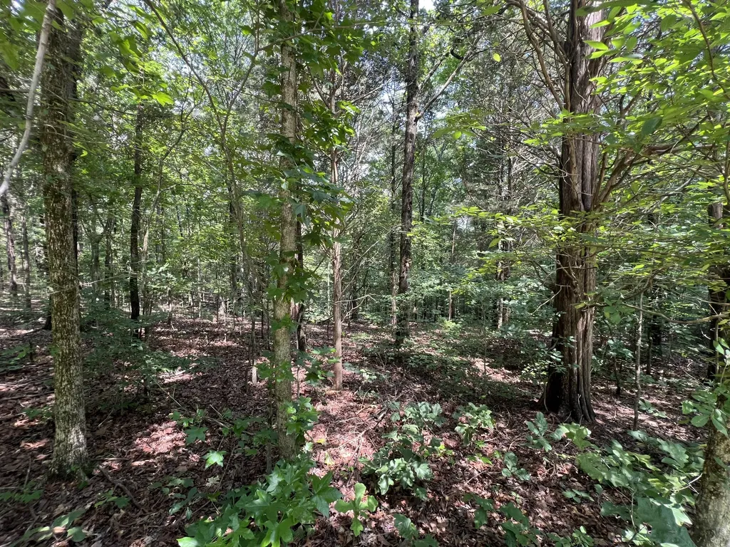 Lot 53 Baypoint Lane New Concord KY 42076