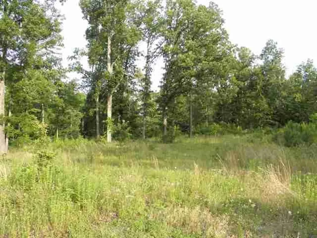 Lot 10 Woodridge Drive Benton KY 42025