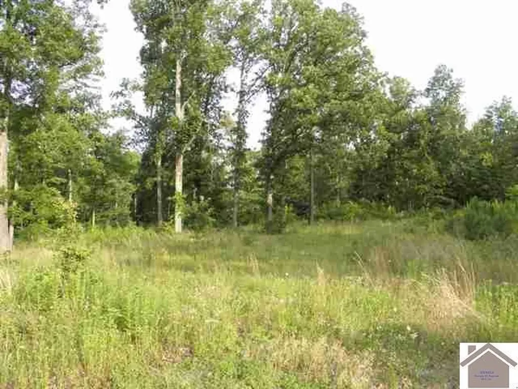 Lot 33 Woodridge Drive Benton KY 42025