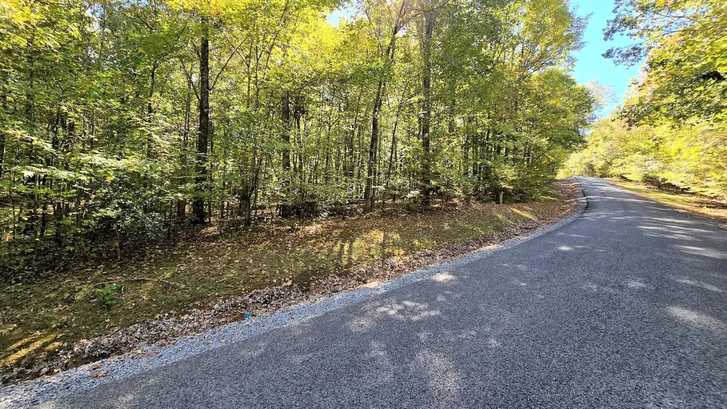 Lots 5 & 6 Malcolm's Point Road Cadiz KY 42211