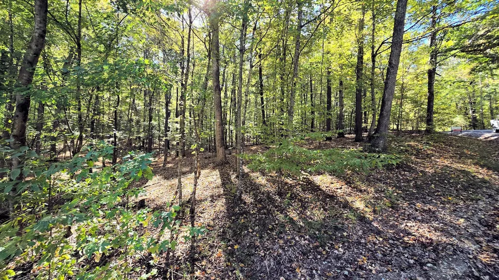 Lots 5 & 6 Malcolm's Point Road Cadiz KY 42211