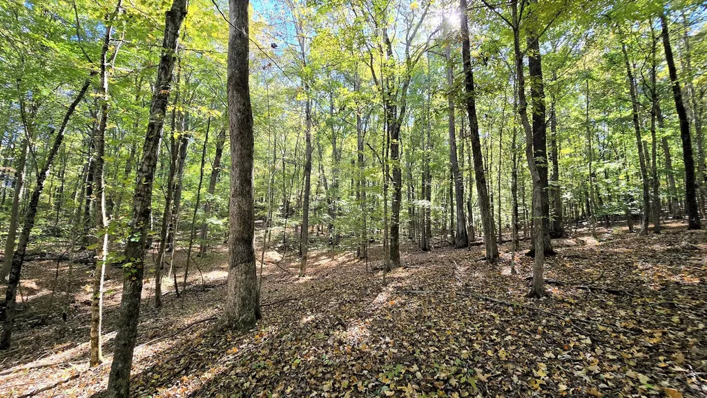 Lots 5 & 6 Malcolm's Point Road Cadiz KY 42211