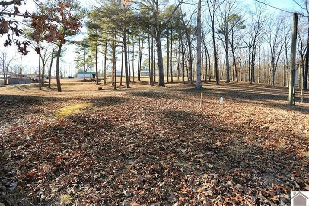 2488 Cypress Trail New Concord KY 42076