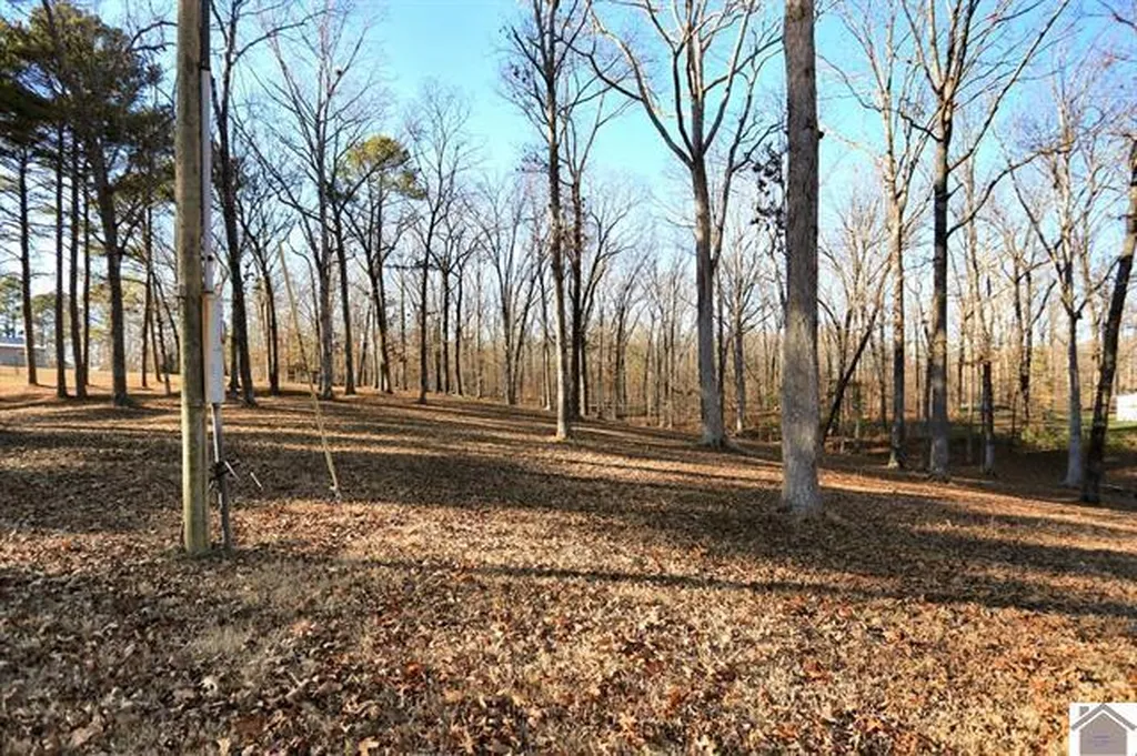 2488 Cypress Trail New Concord KY 42076