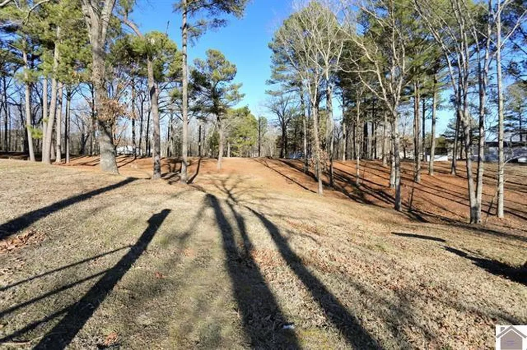 2488 Cypress Trail New Concord KY 42076