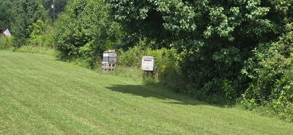 222 Kentucky Avenue Junction City KY 40440