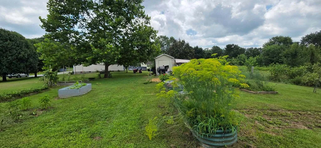 222 Kentucky Avenue Junction City KY 40440