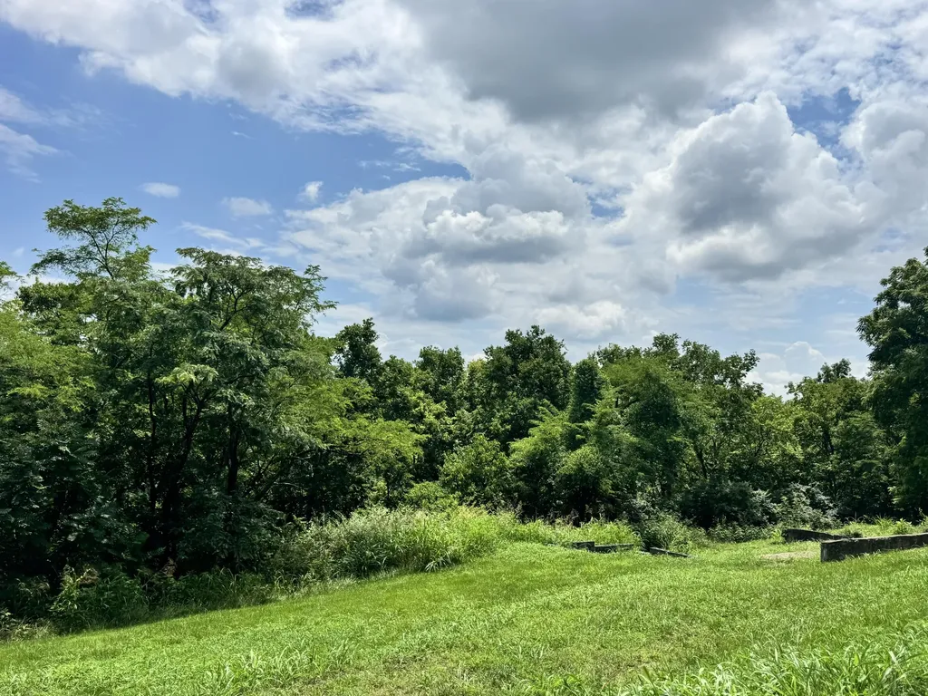 501 Clifton Avenue Frankfort KY 40601