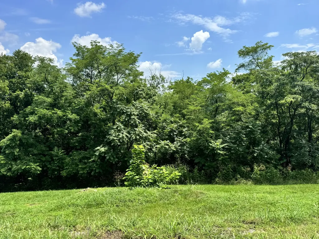 501 Clifton Avenue Frankfort KY 40601