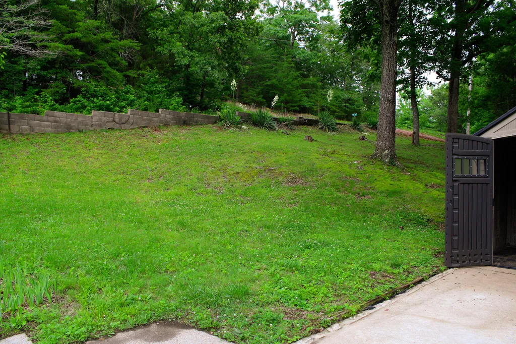 619 Lake Shore Drive New Concord KY 42076