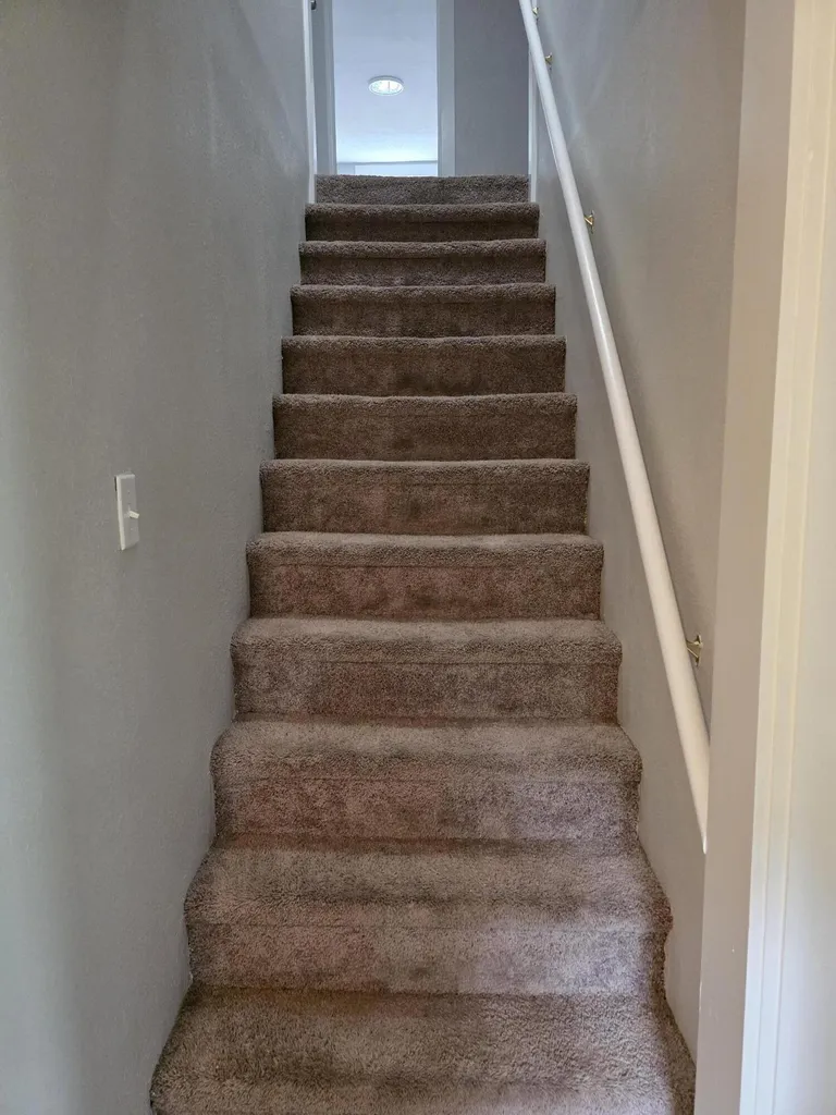 501 S 6th Street Murray KY 42071