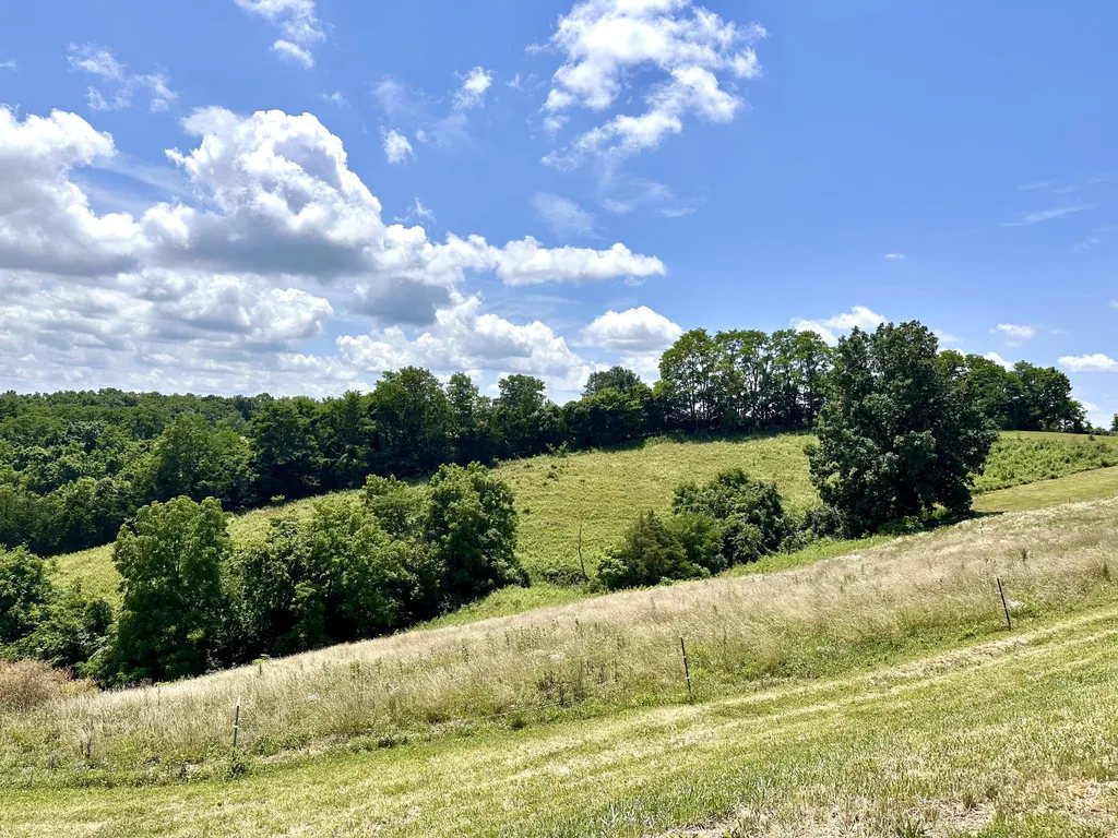 1502 Cane Run Road Carlisle KY 40311