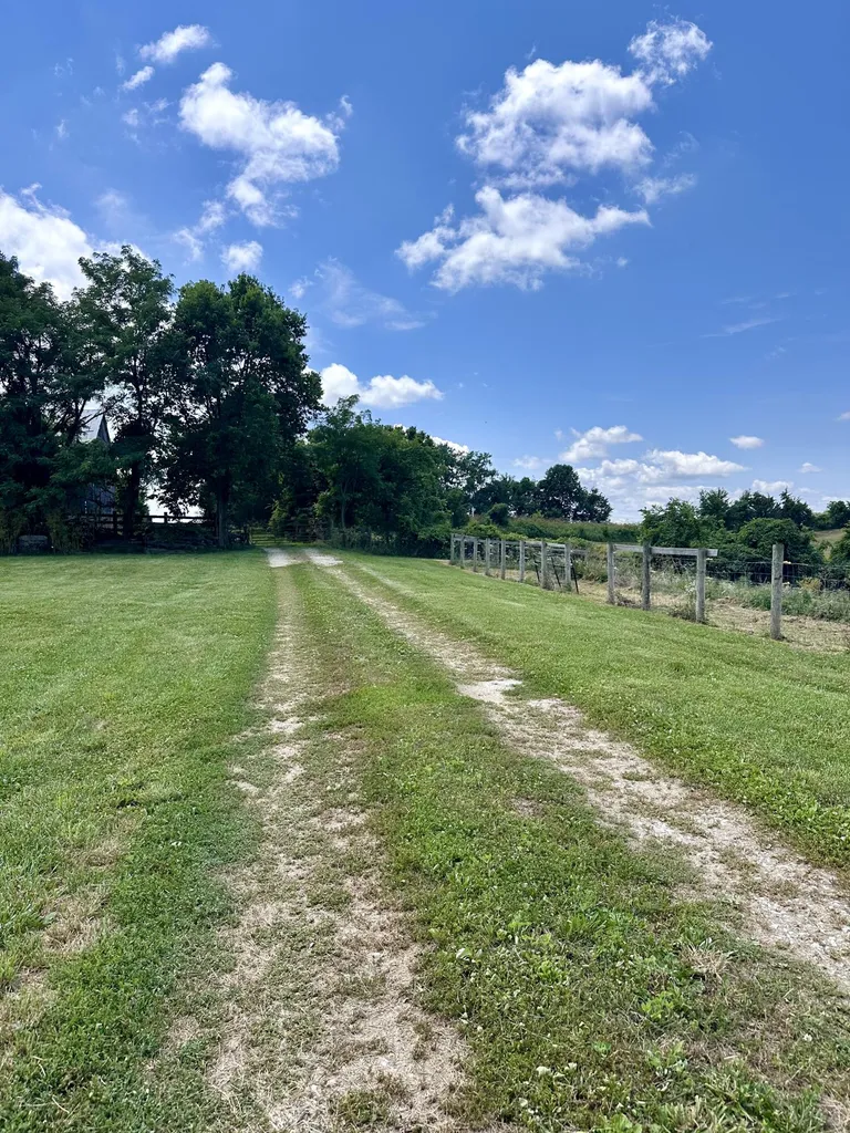 1502 Cane Run Road Carlisle KY 40311