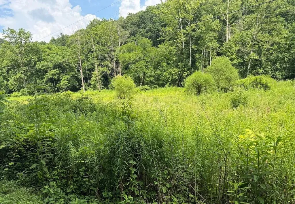 0 Meyers Fork Road Denniston KY 40316