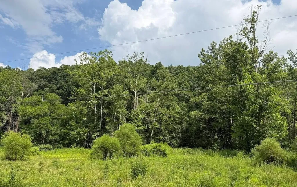 0 Meyers Fork Road Denniston KY 40316