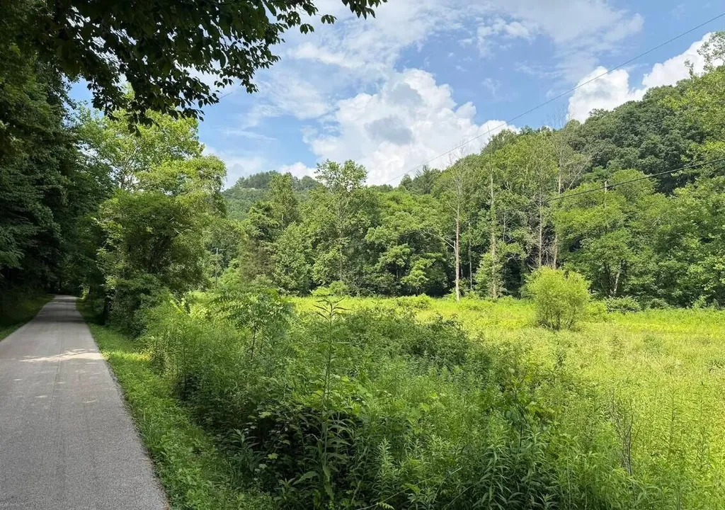 0 Meyers Fork Road Denniston KY 40316