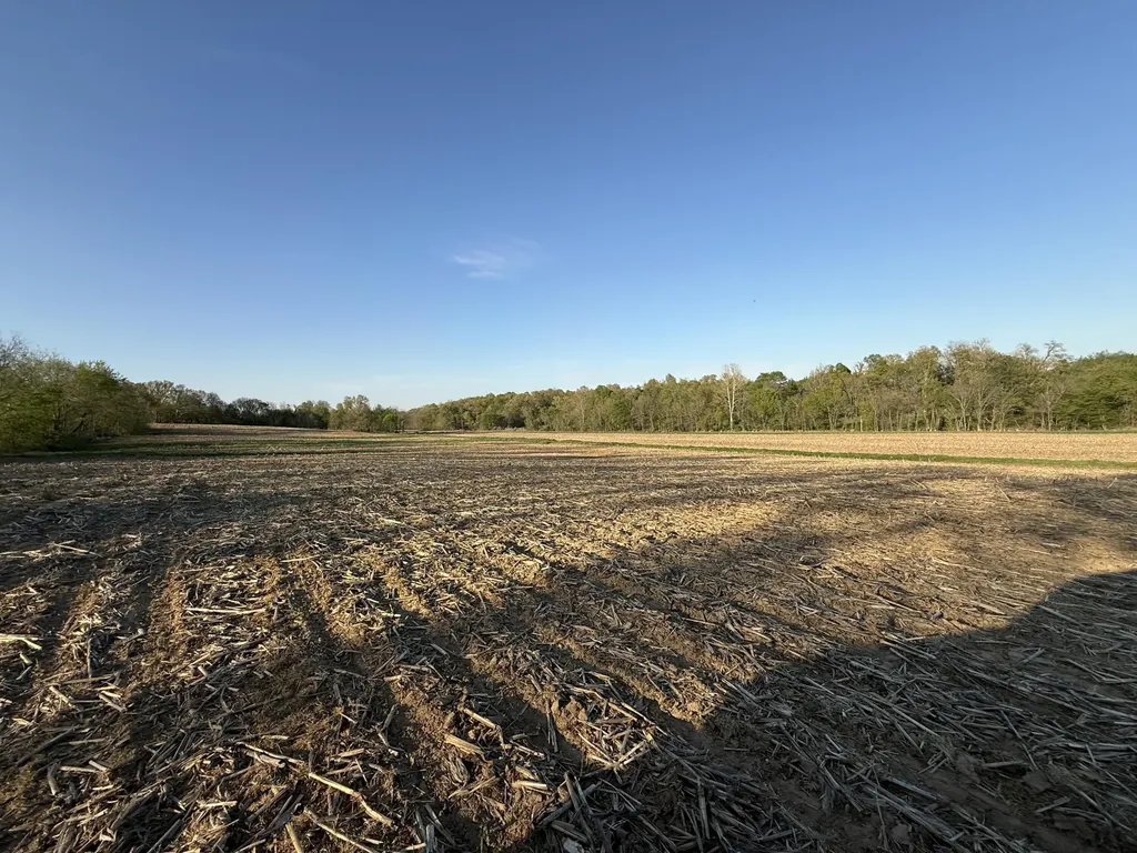 0 Carter Road Mayfield KY 42066