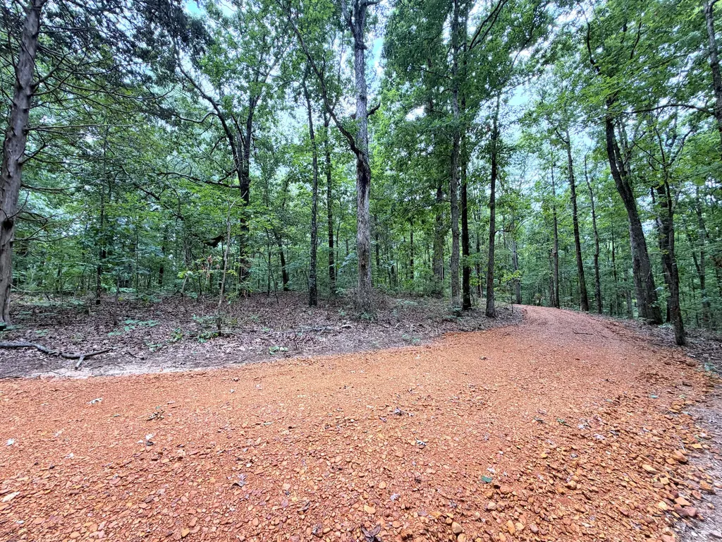096-D-0002 Beat Farmer Road New Concord KY 42076