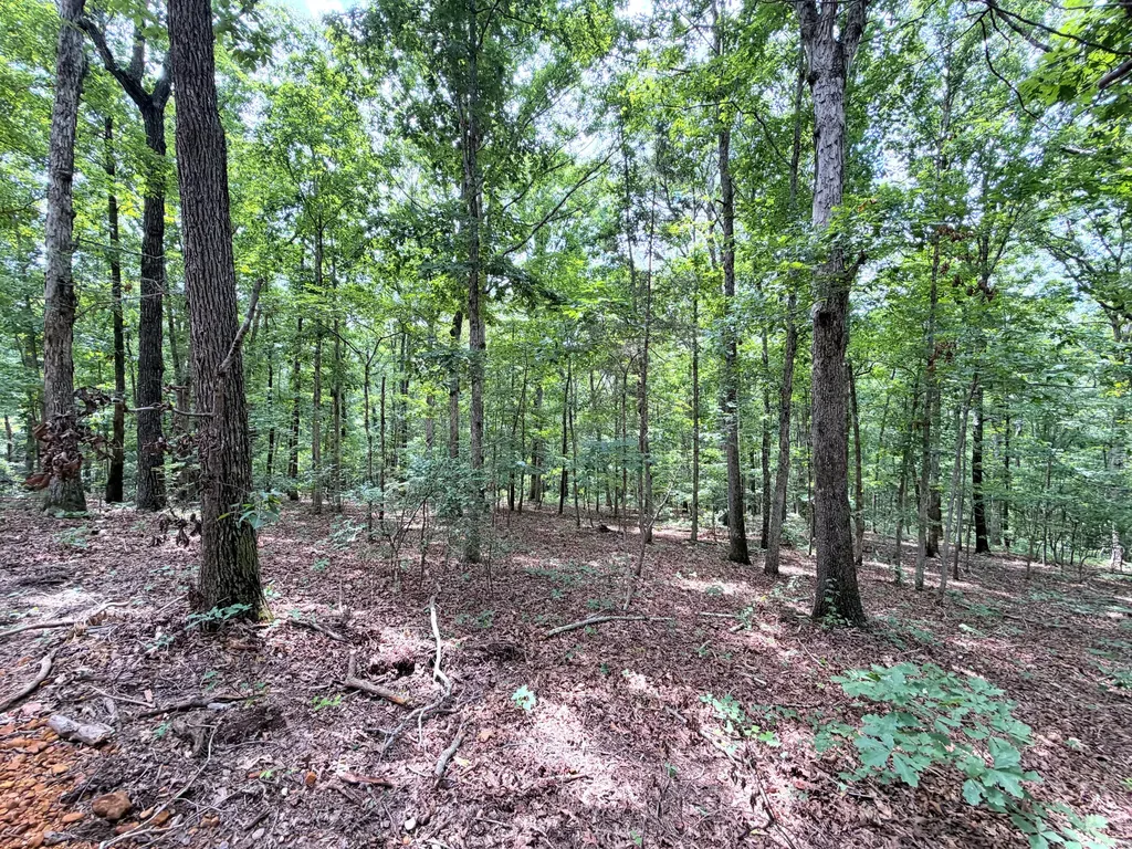 096-D-0002 Beat Farmer Road New Concord KY 42076
