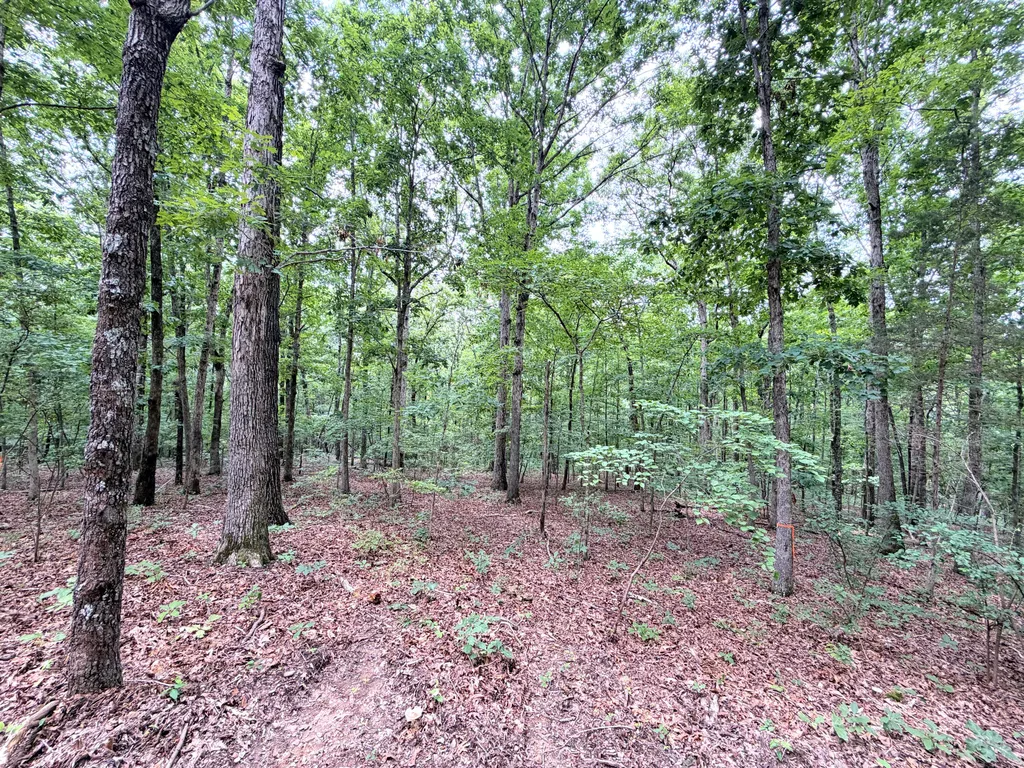 096-D-0002 Beat Farmer Road New Concord KY 42076