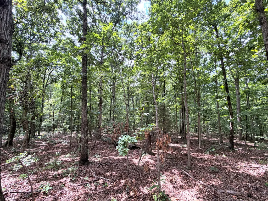 096-D-0002 Beat Farmer Road New Concord KY 42076