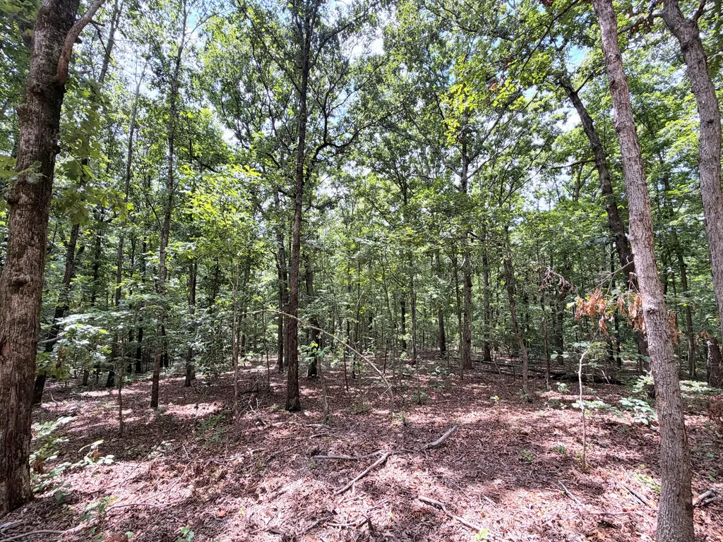 096-D-0002 Beat Farmer Road New Concord KY 42076