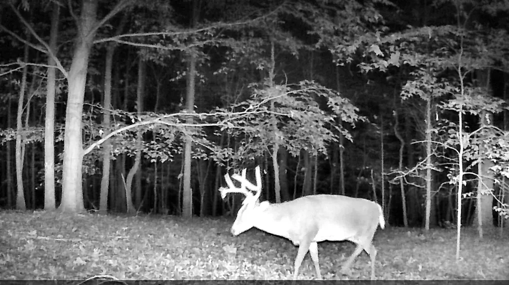096-D-0002 Beat Farmer Road New Concord KY 42076